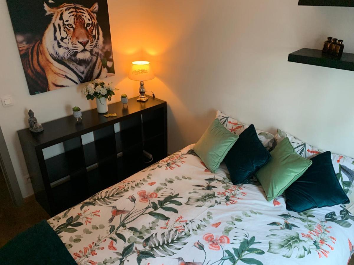 Bnb Antwerp Centrum Εξωτερικό φωτογραφία